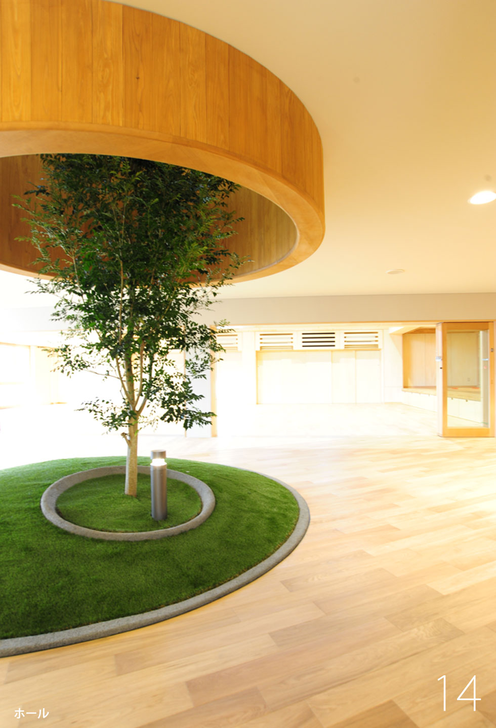 建築家　デザイン　こども園　シマトネリコ　人工芝　丘